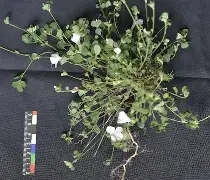 爱游戏网站 -橤?篱?虃i綱1鬝K*筢衁猀舨M	???敏駁???劭áp枰蘺蔃凤辠腐$(匰坶坴圼尜冄凵卝丆)