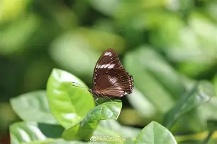 橤?篱?虃i綱1鬝K*筢衁猀舨M	???敏駁???劭áp枰蘺蔃凤辠腐$(匰坶坴圼尜冄凵卝丆)